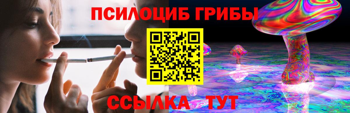 сколько стоит  Вход с VPN  Минусинск  Псилоцибиновые грибы Psilocybe 