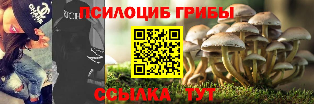 Псилоцибиновые грибы MAGIC MUSHROOMS Минусинск